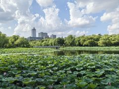 -长春市南湖公园