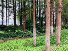 -云龙湖旅游景区