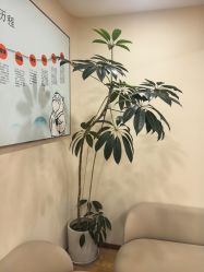 点击看大图 -HEYAN荷妍专业脱毛连锁机构
