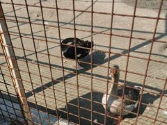 -如皋市龙游湖欢乐世界