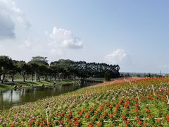 -迪茵湖田家舍生态农场