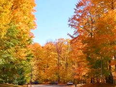 -回龙观体育文化公园