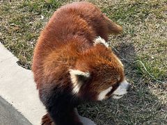 -水上乐园·欢乐世界