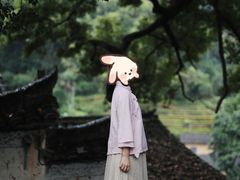 -杨家堂村