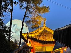 -巴倒烫陆派火锅山庄(南山总店)