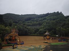 -西双版纳原始森林公园