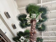 -麓湘小镇(金茂览秀城店)