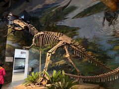 -自贡恐龙博物馆