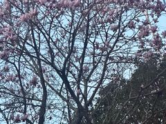 -东吴面馆(中央景城店)