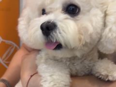 -美联众合动物医院·24h京西诊疗中心