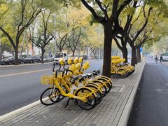 -大华煎饼(交道口北剪子巷店)