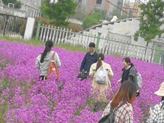 -兰陵国家农业公园