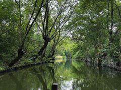 -西溪国家湿地公园
