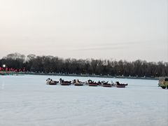 -北陵公园