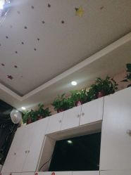 -香薇妮丝·定制减肥·身材管理