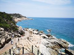 -广东惠东海龟国家级自然保护区