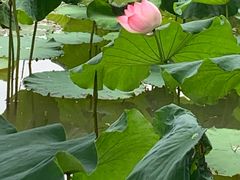 -韶山毛泽东同志故居