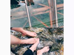 -少华山国家森林公园