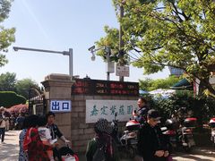 -嘉定紫藤园
