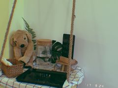 -阿狗圆子