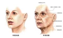 -MOE BEAUTY.皮肤管理中心