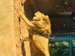 -昆明动物园