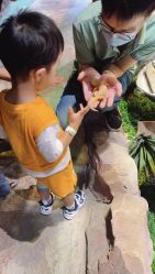 -酷嗒动物文化乐园(cutezoo西溪乐天城店)