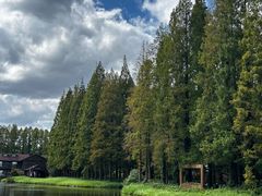 -黄海国家森林公园