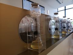 -喜茶(永旺梦乐城店)