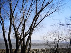 -上海吴淞炮台湾国家湿地公园