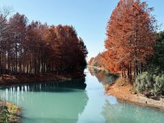 -贡湖湾湿地公园