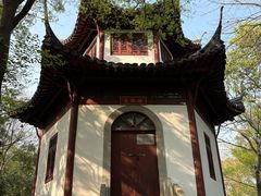 -上海佘山国家森林公园天马山园