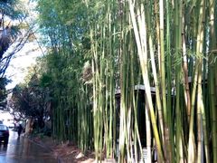 -新竹里馆·花园餐厅(兴苑路店)