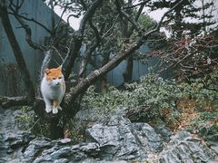 -静安雕塑公园