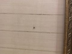 -成都世纪城假日酒店-西楼