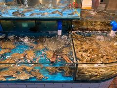 -谊荣海鲜大牌档(石湖店)