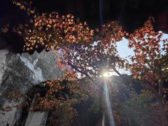 -黎里古镇