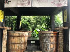 -融汇温泉