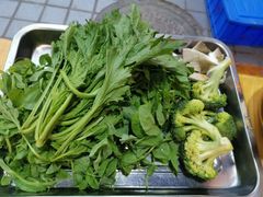 -金鼎雪山牦牛杂火锅(理县总店)