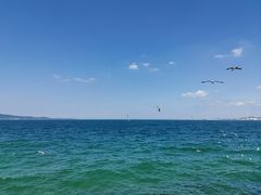 -海驴岛(荣成市)
