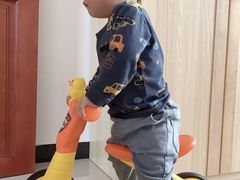 -稚马儿童平衡车自行车俱乐部