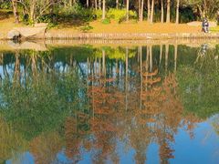 -新江湾城公园