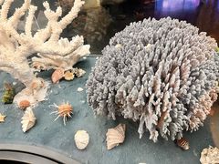 -天津自然博物馆