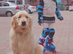 -乐翔轮滑(中庚漫游城店)