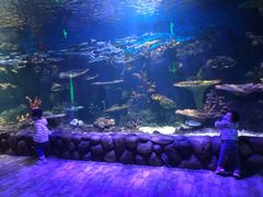 -华夏文旅海洋公园