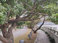 -江心屿景区
