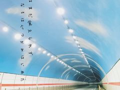 -乐山市博物馆
