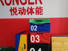 -悦动体能篮球羽毛球网球(三里河店)