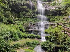-碧峰峡风景区