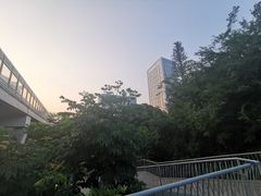 -后襄河公园